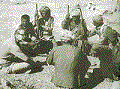 Firqat troops