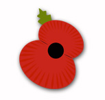 Picture of a poppy