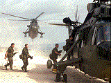 Helicopters on the beach